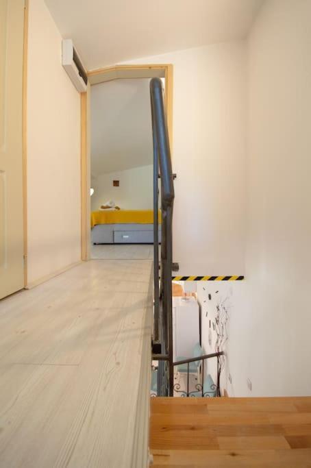 Duplex Novi Sad